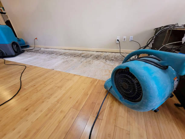 Professional Water Removal technician working in Lomita, CA